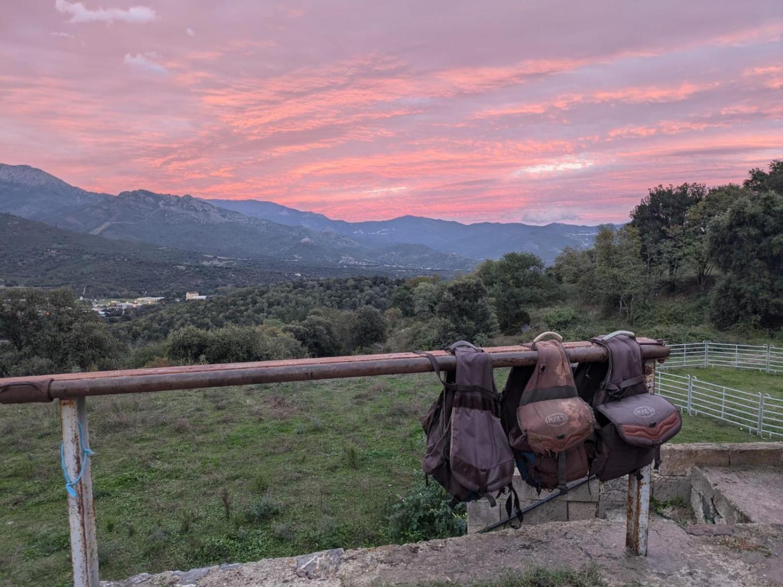 Villa L'Albadu Corte  Esterno foto