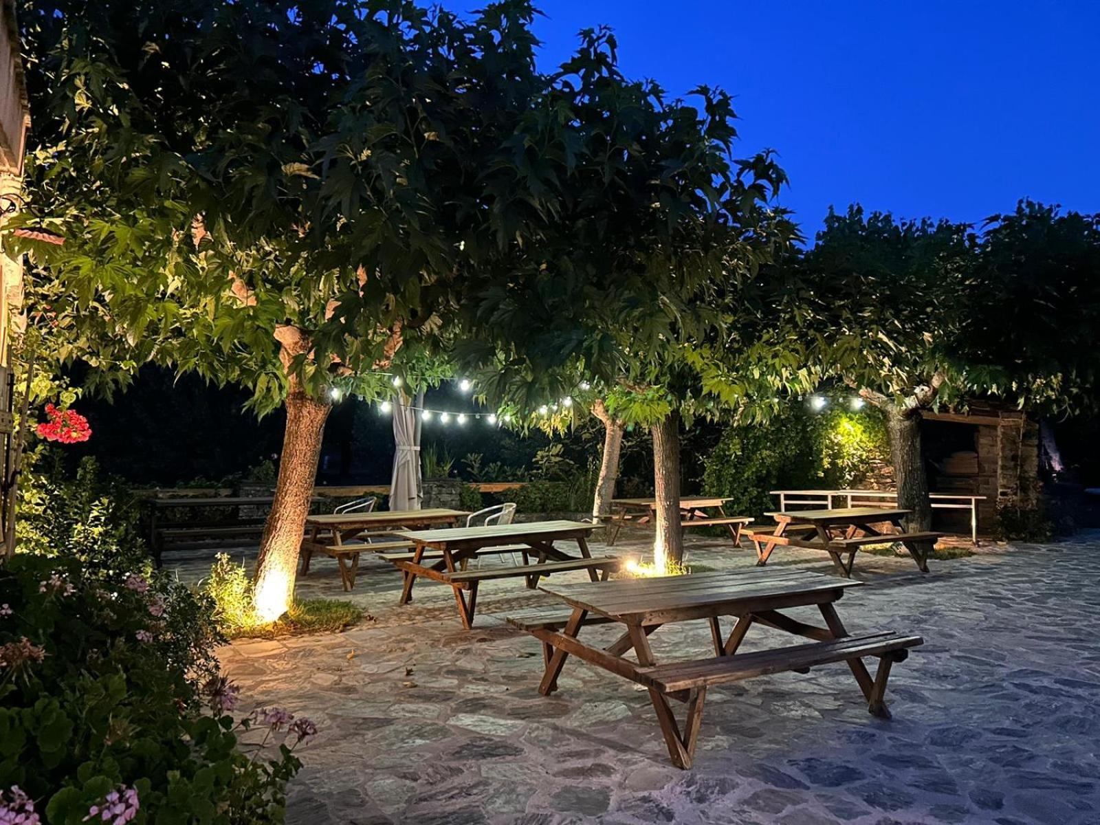 Villa L'Albadu Corte  Esterno foto