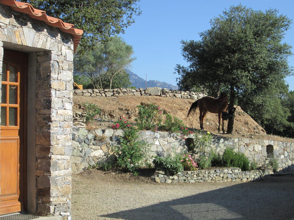 Villa L'Albadu Corte  Esterno foto