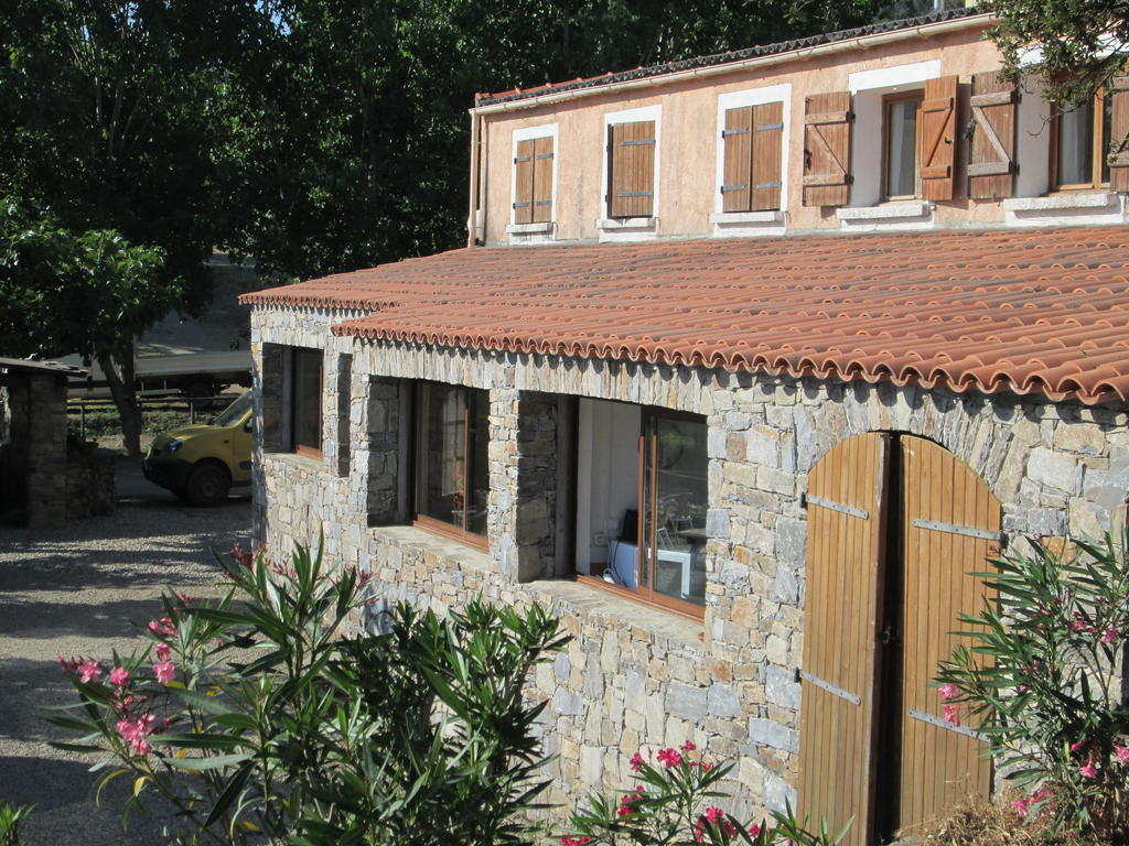 Villa L'Albadu Corte  Esterno foto