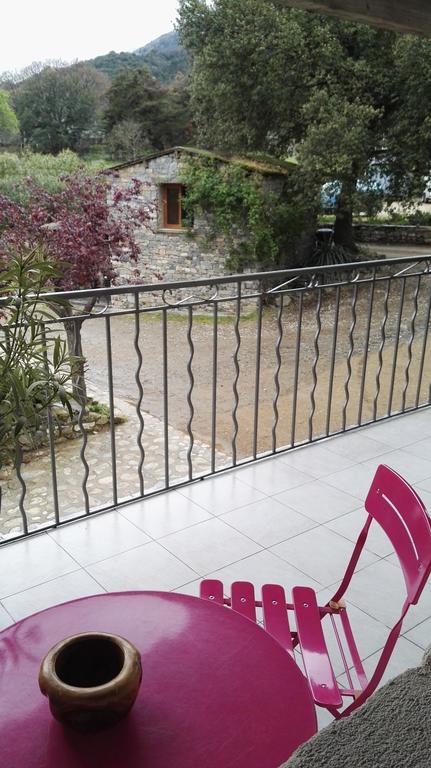Villa L'Albadu Corte  Esterno foto