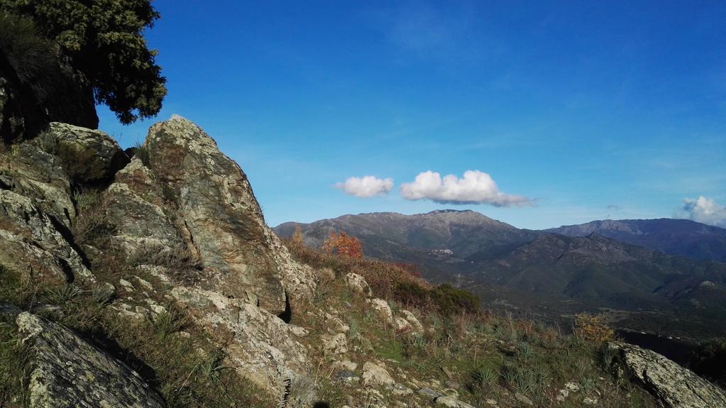 Villa L'Albadu Corte  Esterno foto